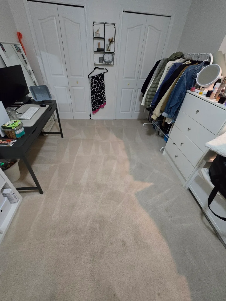 Fresh carpet cleaning lines in a furnished room — PureFresh Cleaning, serving Port Moody, BC